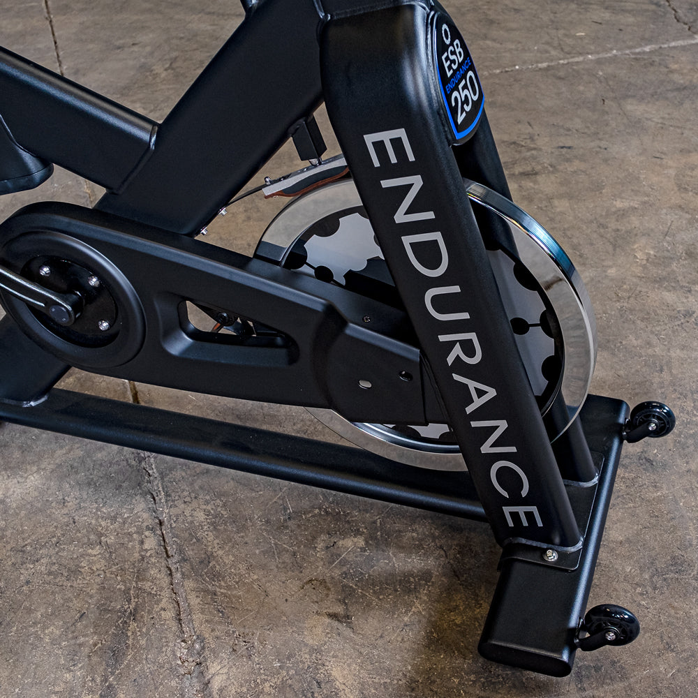 Endurance Indoor Bike Pro ESB250