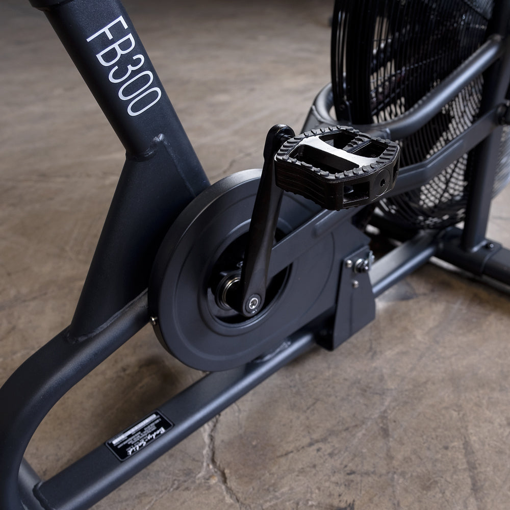 Endurance Fan Bike FB300B