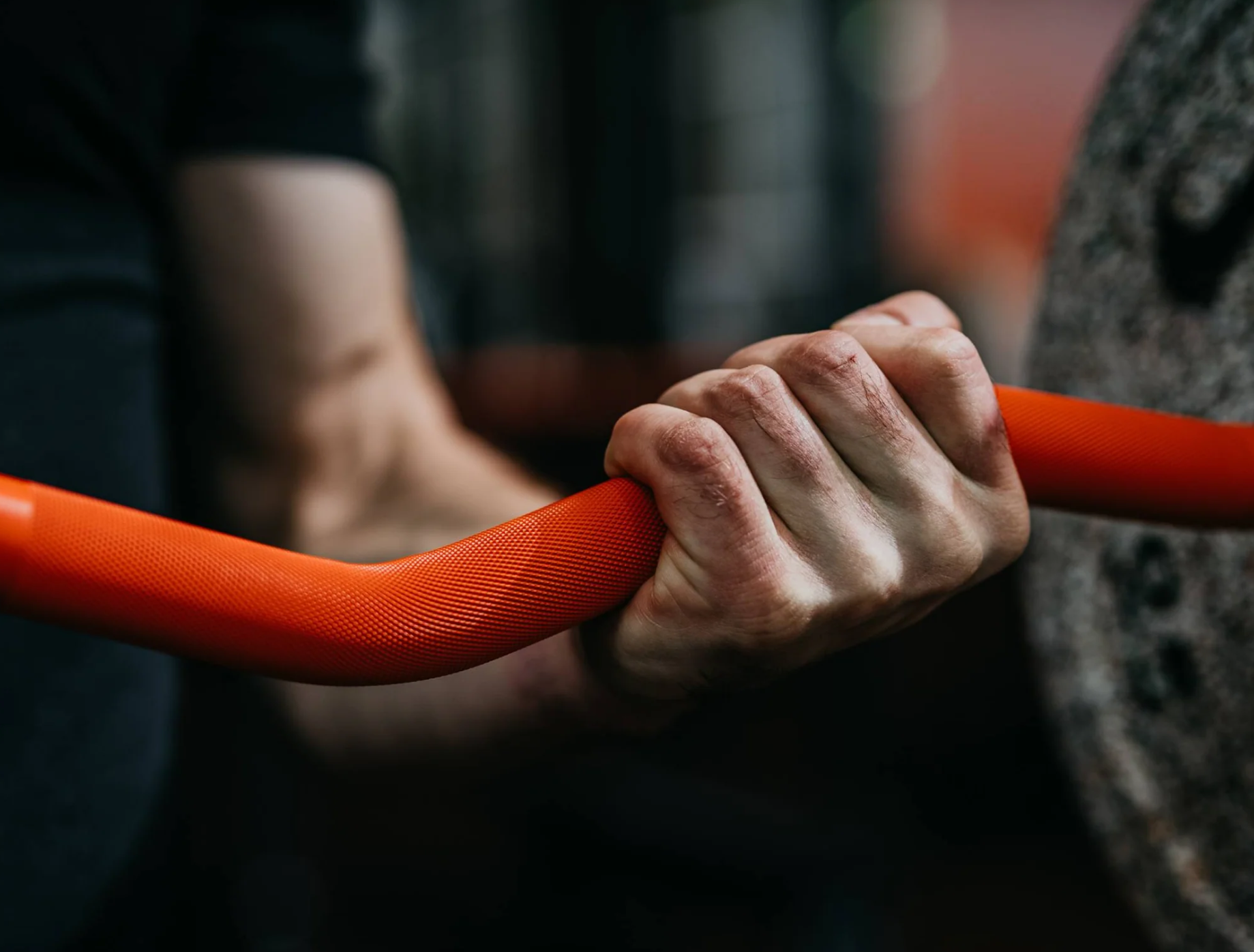 Nike Shield Curl Bar - 10kg